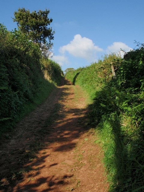 Mouseberry Lane This field access track climbs away from the west edge of the village towards Haldon Lane, but never reaches it.