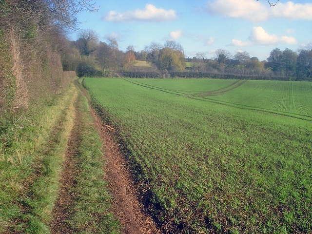 Path to Papplewick - 2 Looking east as the path disappears into Church Plantation. The River Leen flows at the tree-line on the right.