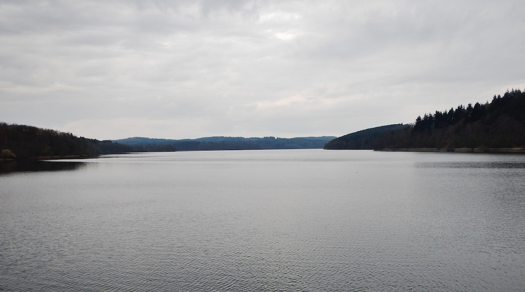 Photo "Moehnesee" by qwesy qwesy (CC BY) / Cropped from original