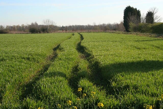 Foto “Fenton” tomada por Kate Jewell (CC BY-SA); recorte de la original