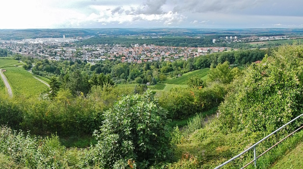 Photo "Neckarsulm" by qwesy qwesy (CC BY) / Cropped from original