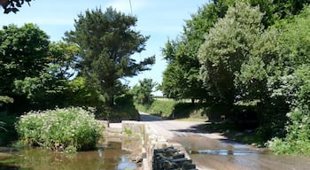 The Ford and Pond on Putsborough Road