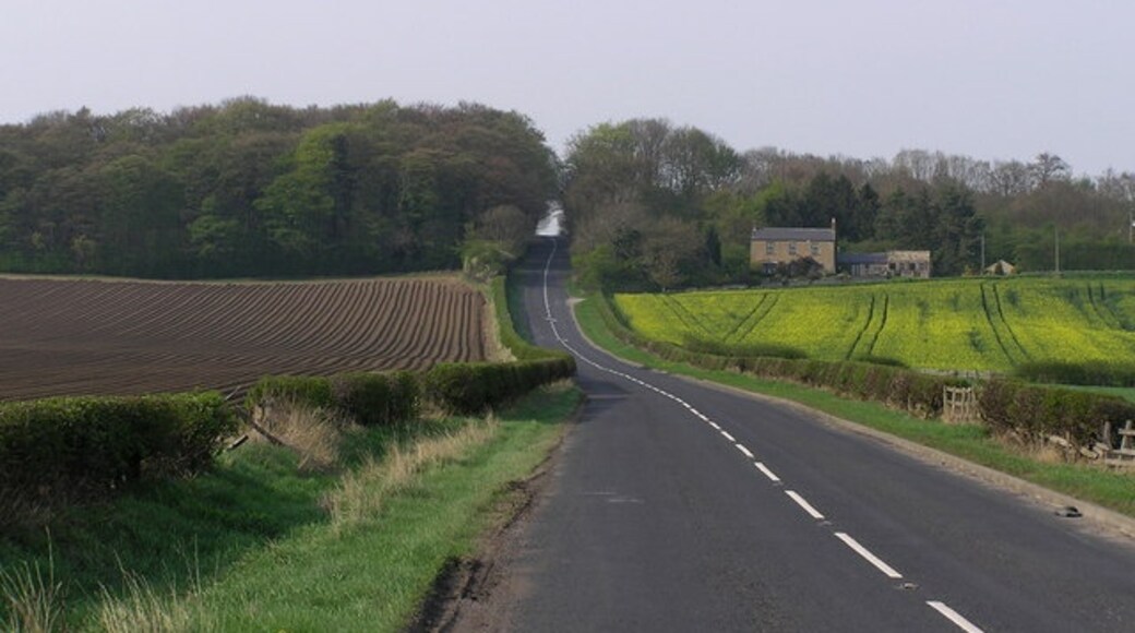 Foto "Summerhouse" por Hugh Mortimer (CC BY-SA) / Recortada de la original