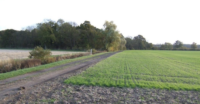 Foto “Waresley-cum-Tetworth” tomada por Jonathan Billinger (CC BY-SA); recorte de la original