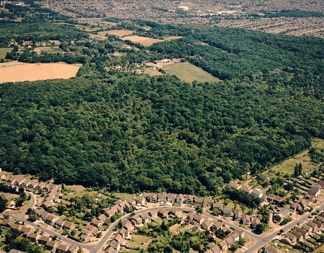 Aerial view of Hadleigh Great Wood (Belfairs Nature reserve) The main block of woodland here is the western portion of Hadleigh Great Wood, lying within Castle Point. The bulk of the wood lies within the Southend borough.The road across the bottom right is Scrub Lane. The road curving just below the wood is Greenacres.