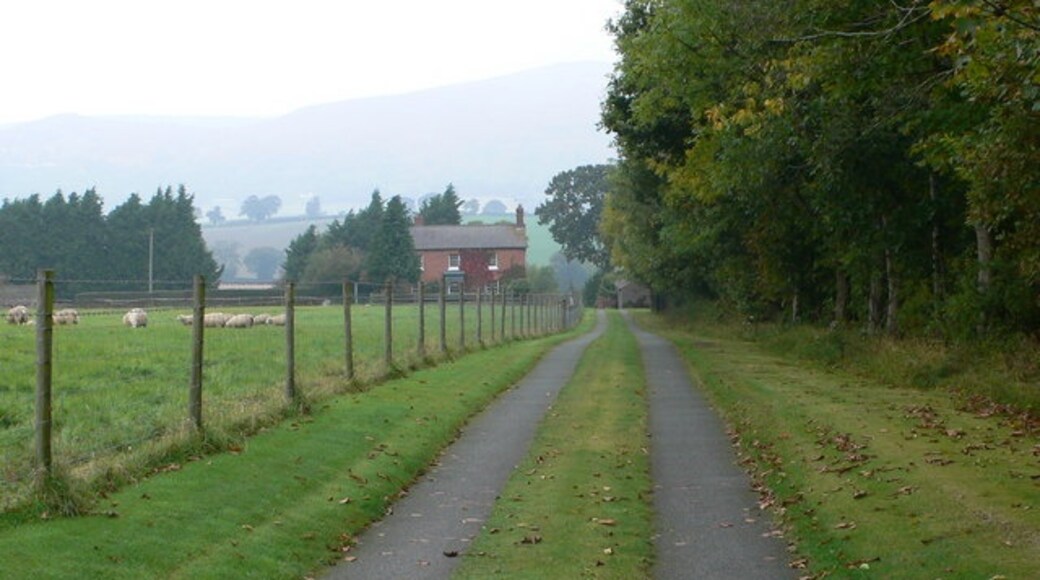 Photo "Westbury" by Eirian Evans (CC BY-SA) / Cropped from original