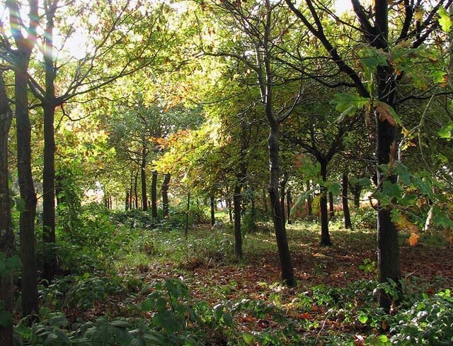 Foto „Scottow“ von Evelyn Simak (CC BY-SA)/zugeschnittenes Original