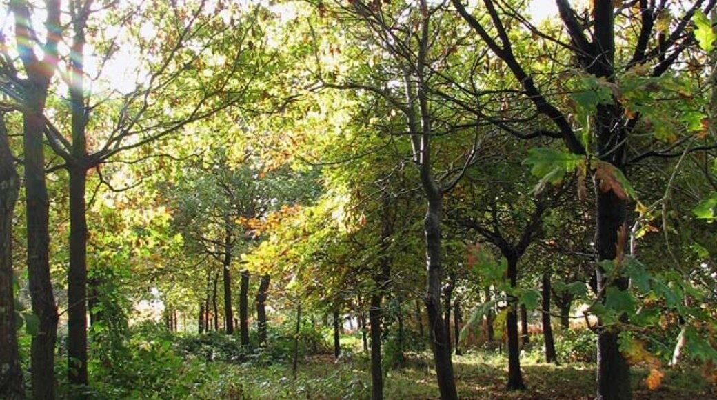 Photo "Scottow" by Evelyn Simak (CC BY-SA) / Cropped from original