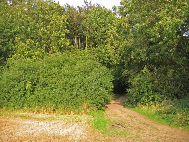 Foto "Irby" por Stephen Horncastle (CC BY-SA) / Recortada de la original