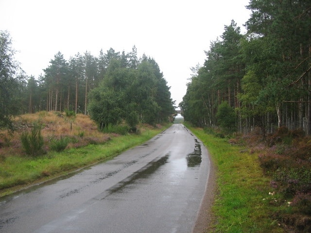 Wardend Woods. A view looking northeast along the minor road to Rafford through Wardend Woods. Rafford Bridge can be seen in the distance.