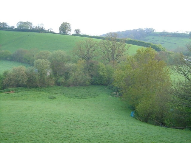 Where two valleys meet. The lines of trees show where two small streams meet from the valleys either side of the Black Hat Lane ridge.