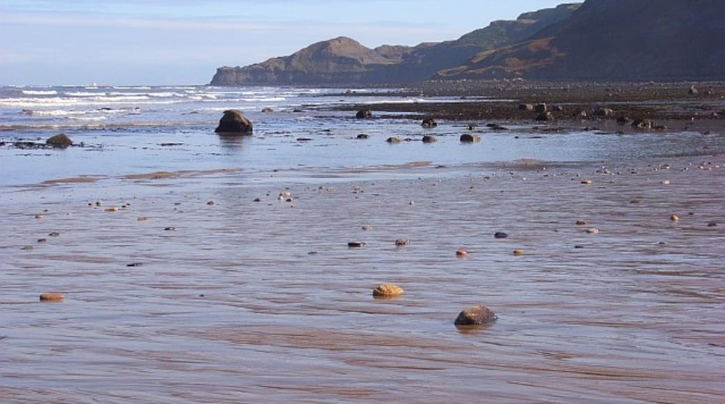 Photo "Runswick Sands" by Andrew Smith (CC BY-SA) / Cropped from original