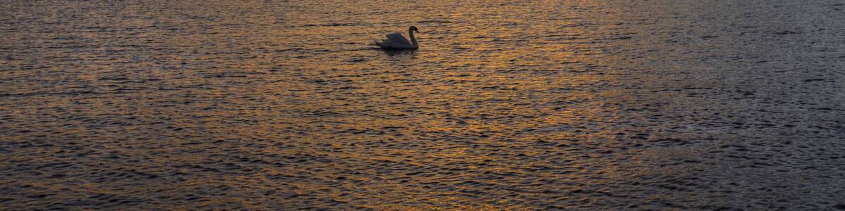 Photo "Swinoujscie, Poland" by StasiÓ Stachów (Creative Commons Attribution 3.0) / Cropped from original