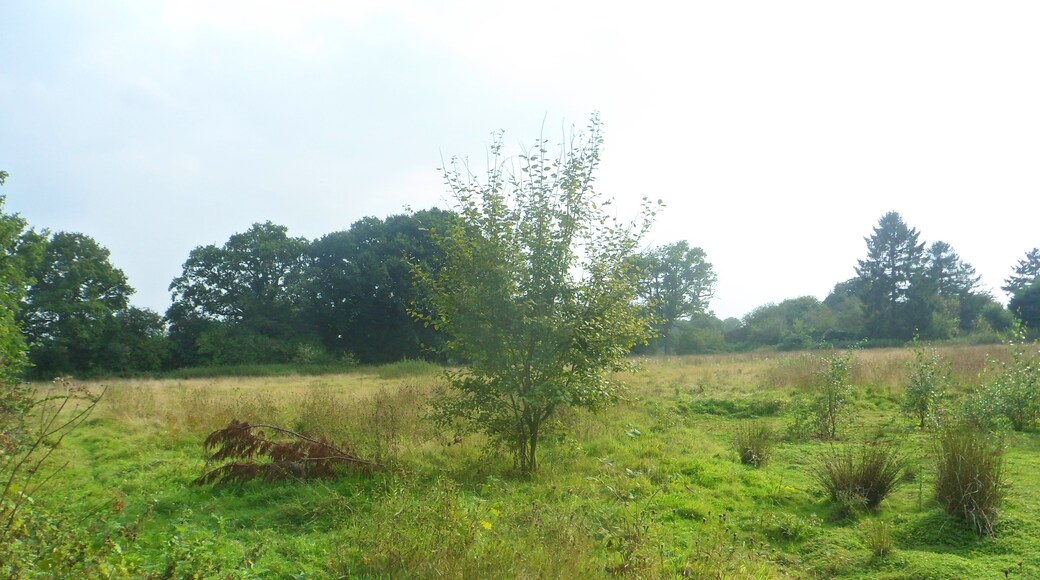 One of a series of photos chronicling the development of Crawley New Town's 14th residential neighbourhood, Forge Wood. This view shows land at the northern end of the Phase 1 development area, shortly before work started in the vicinity.