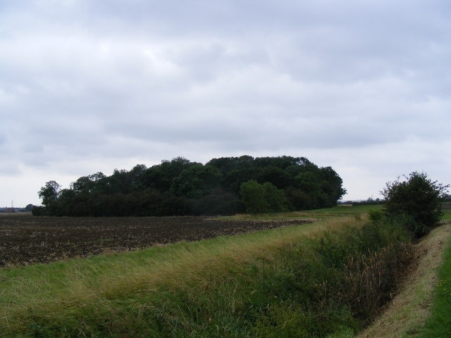 Foto “Waresley-cum-Tetworth” tomada por David Sands (CC BY-SA); recorte de la original