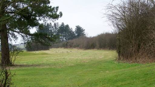 Foto “Winterbourne” tomada por Trish Steel (CC BY-SA); recorte de la original