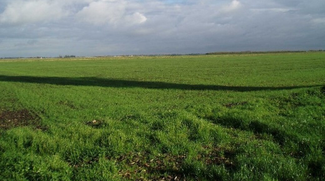 "Marshland St James"-foto av Dr Charles Nelson (CC BY-SA) / Urklipp från original