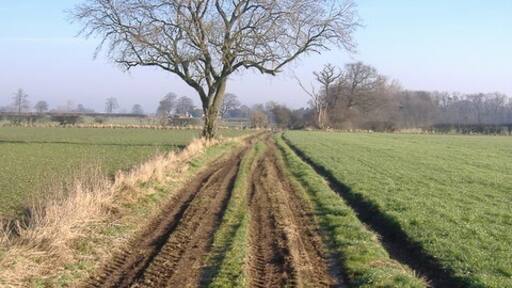 Photo "Howe" by Steve Reeves (CC BY-SA) / Cropped from original