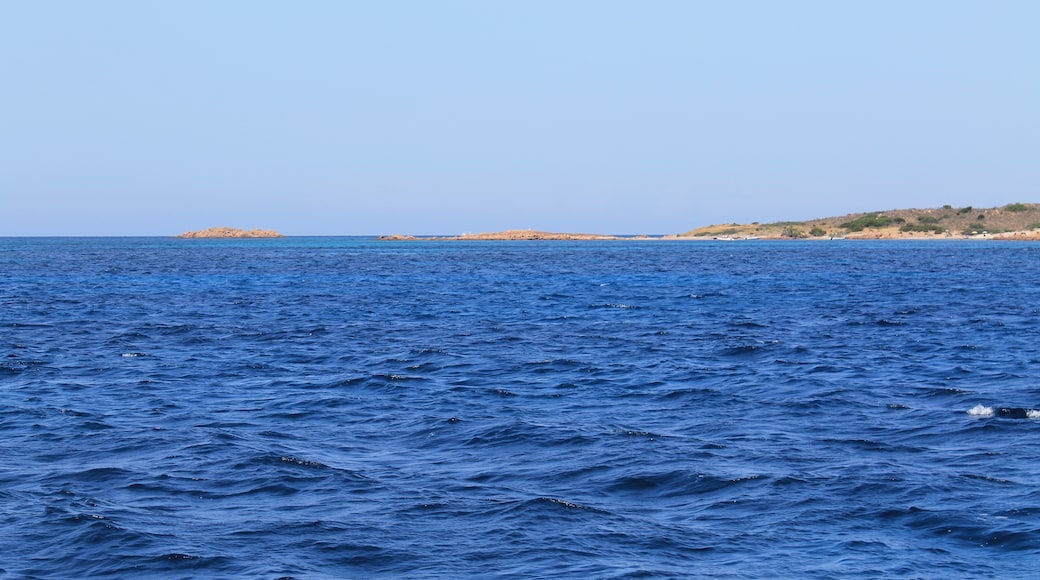 Photo "Tavolara - Punta Coda Cavallo Marine Protected Area" by Patrick Nouhailler's… (CC BY-SA) / Cropped from original