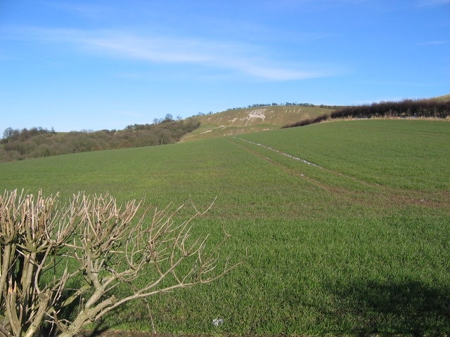 Foto “Acklam” tomada por Stephen Horncastle (CC BY-SA); recorte de la original