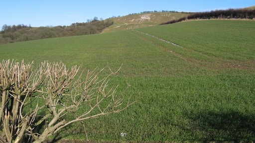 Photo "Acklam" by Stephen Horncastle (CC BY-SA) / Cropped from original