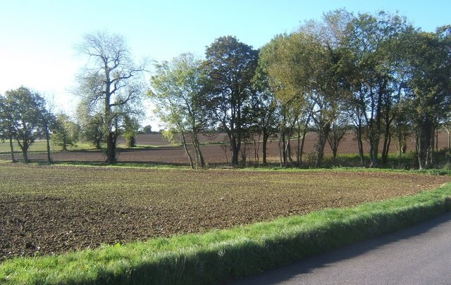 Foto "Mickfield" de Andrew Hill (CC BY-SA) / Recortada do original