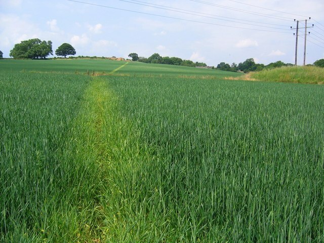 Foto “Wessington” tomada por Nikki Mahadevan (CC BY-SA); recorte de la original