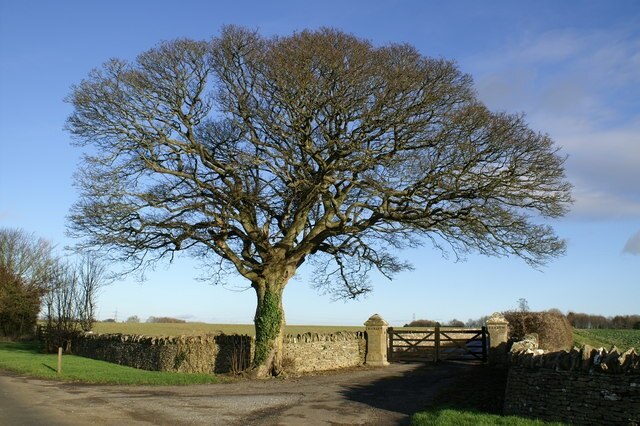 Billede "Northleach with Eastington" af Peter Standing (CC BY-SA) / beskåret fra det originale billede
