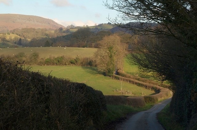 Lane from Bagbury. A view that includes the stretch of lane shown in 762729. The lane crosses a tributary of the Camlad and then continues towards Hyssington. On the left horizon is 1647.