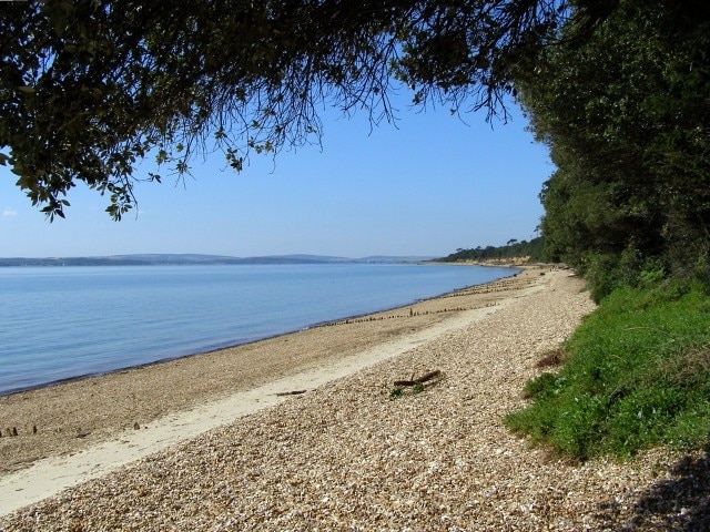Stanswood Bay A very bright and blue summer morning at Stanswood Bay. The gentle curve of the shore is viewed here from the shade of overhanging holm oak trees. The Isle of Wight is visible in the haze on the other side of the Solent. At high tide a few hours later the sea reached up to the top of the sandy strip of beach.