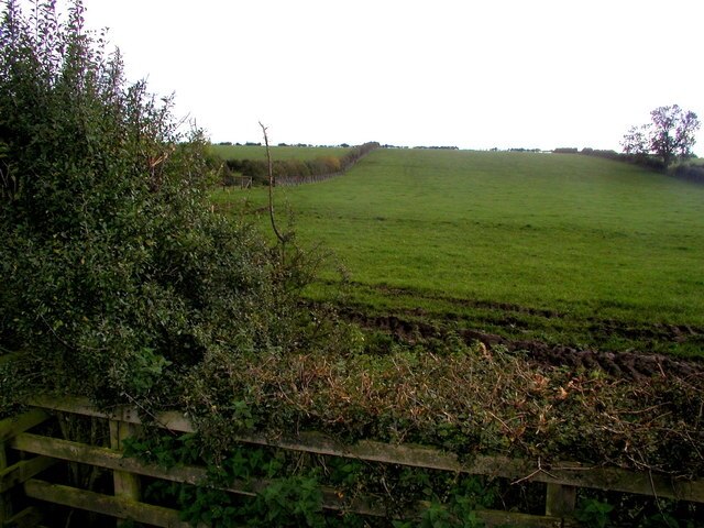 Photo "Bugthorpe" by Andy Beecroft (CC BY-SA) / Cropped from original