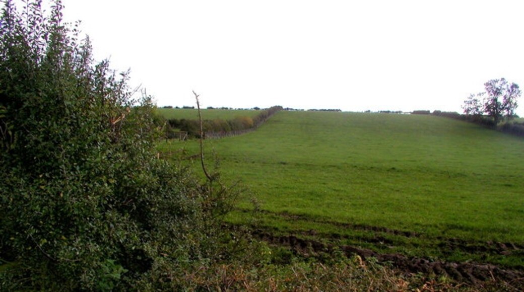 Photo "Bugthorpe" by Andy Beecroft (CC BY-SA) / Cropped from original