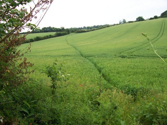 Photo "Preston" by Rob Hinkley (CC BY-SA) / Cropped from original