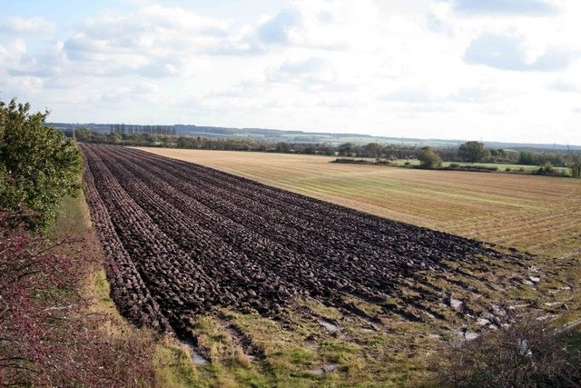 Ploughing has commenced Perhaps its too wet to plough today after the weekends rain.