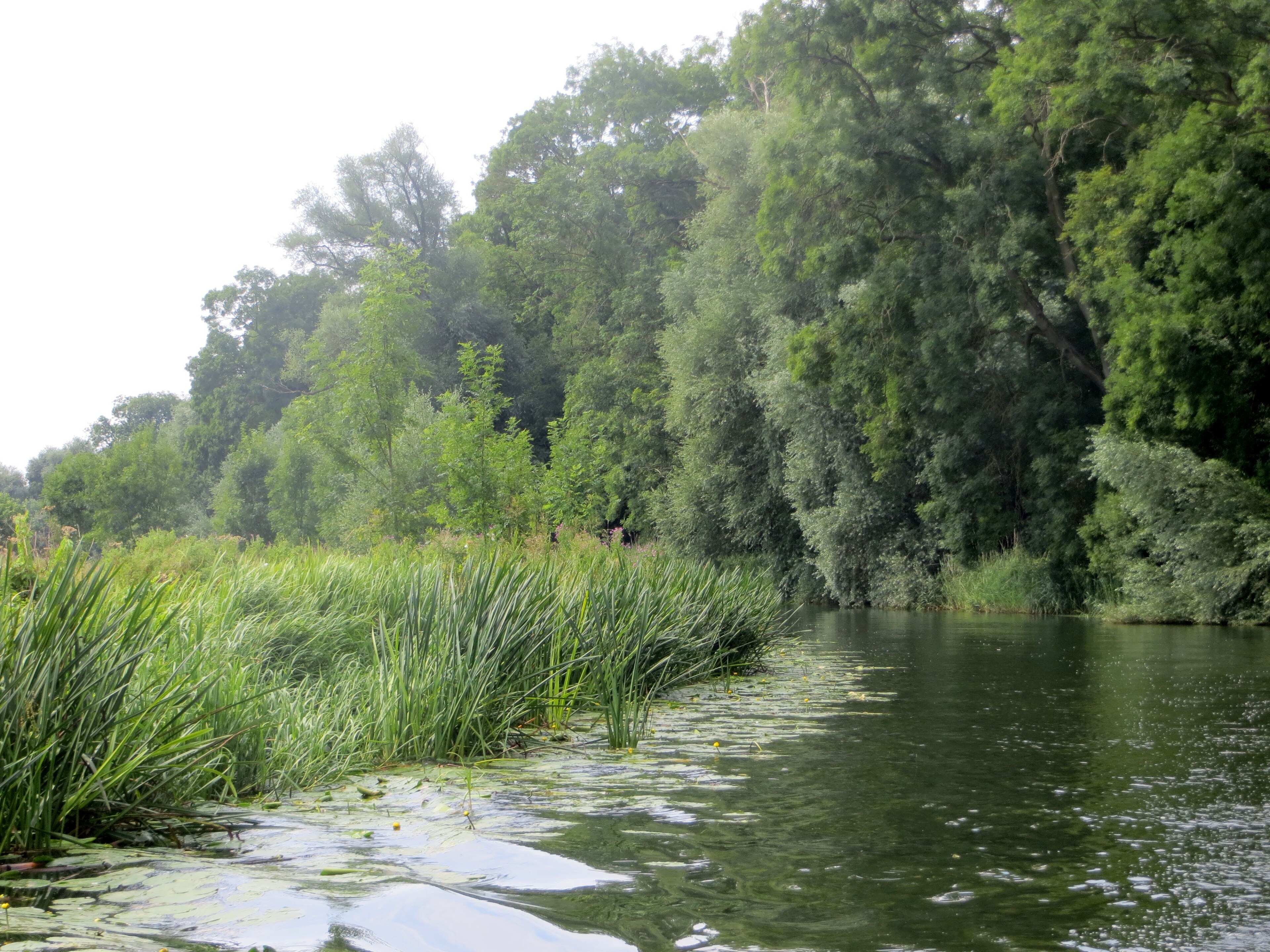 "Ashton"-foto av Forester2009 (CC BY-SA) / Urklipp från original