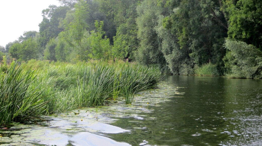 "Ashton"-foto av Forester2009 (CC BY-SA) / Urklipp från original