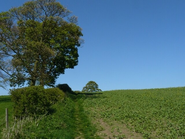 Sutcliffe Hill