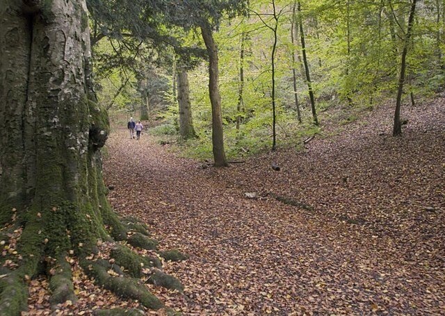 Foto „Cleeve“ von Philip White (CC BY-SA)/zugeschnittenes Original