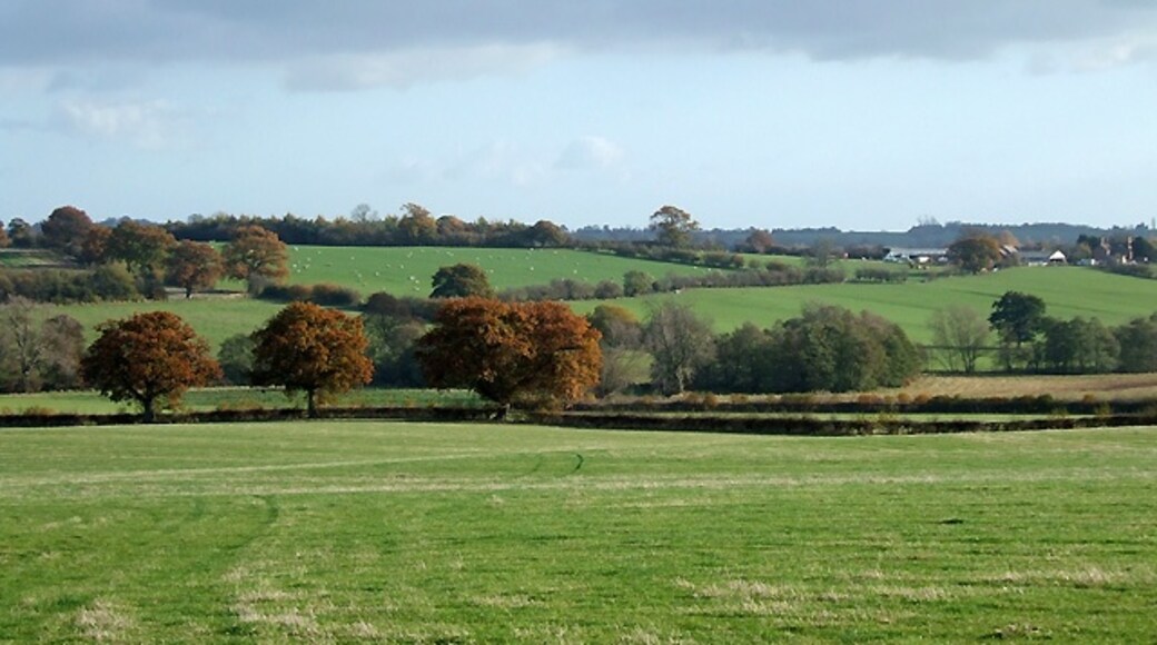 Kuva ”Aston Botterell” käyttäjältä Roger Kidd (CC BY-SA) / rajattu alkuperäisestä kuvasta