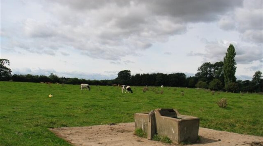 Billede "Thornton Bridge" af Johnny Durnan (CC BY-SA) / beskåret fra det originale billede