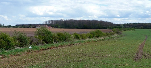 Ảnh "Hatfield" của Jonathan Billinger (CC BY-SA) / Cắt từ ảnh gốc