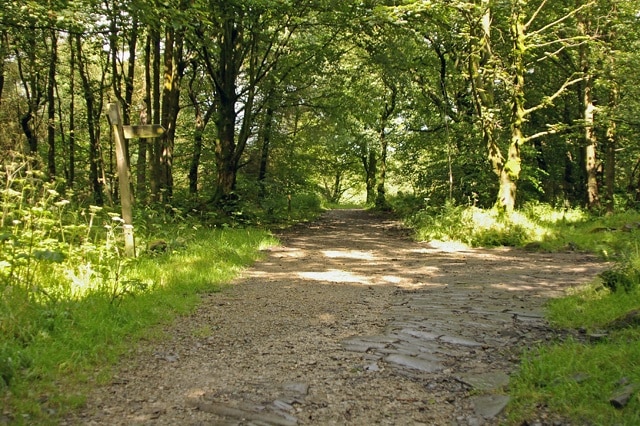 Foto "Roddlesworth" de Mr T (CC BY-SA) / Recortada de la original