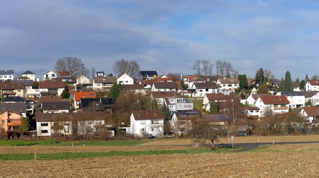 Photo "Remchingen" by Augenstein (CC BY-SA) / Cropped from original