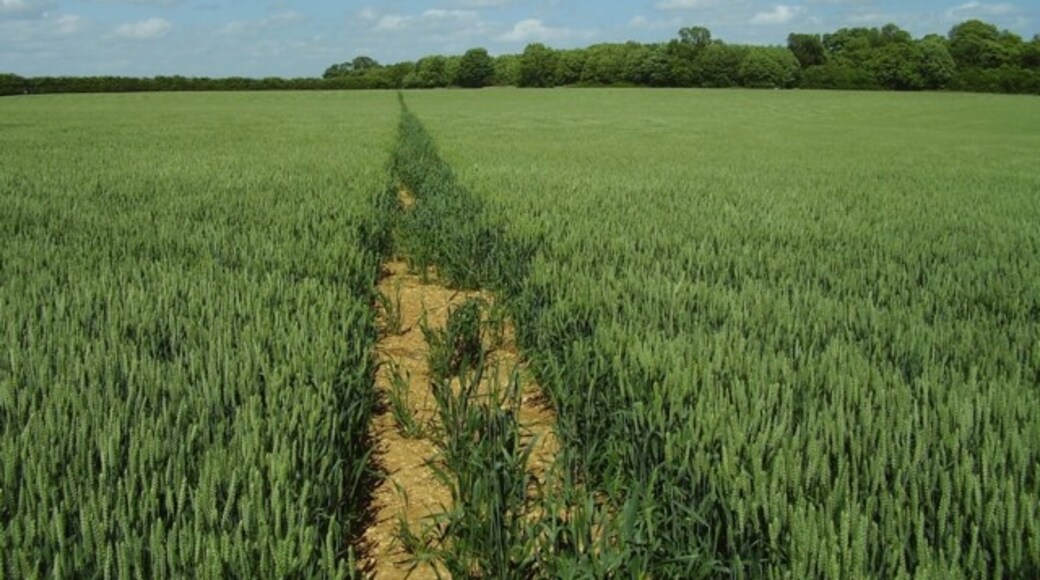 Foto “Gunby and Stainby” tomada por Andrew Tatlow (CC BY-SA); recorte de la original