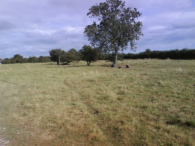 Ảnh "Làng Wilstrop" của Matthew Hatton (CC BY-SA) / Cắt từ ảnh gốc