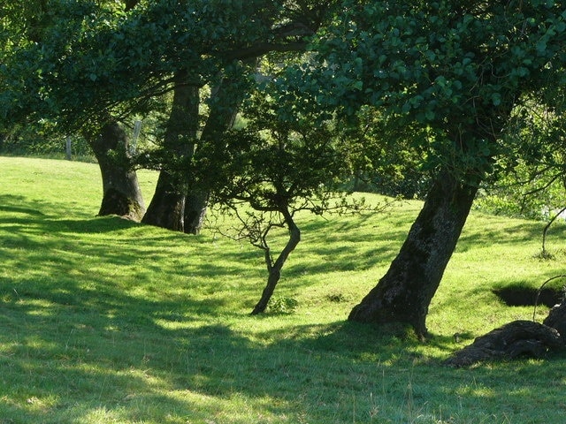 Path alongside River Ure near Askrigg