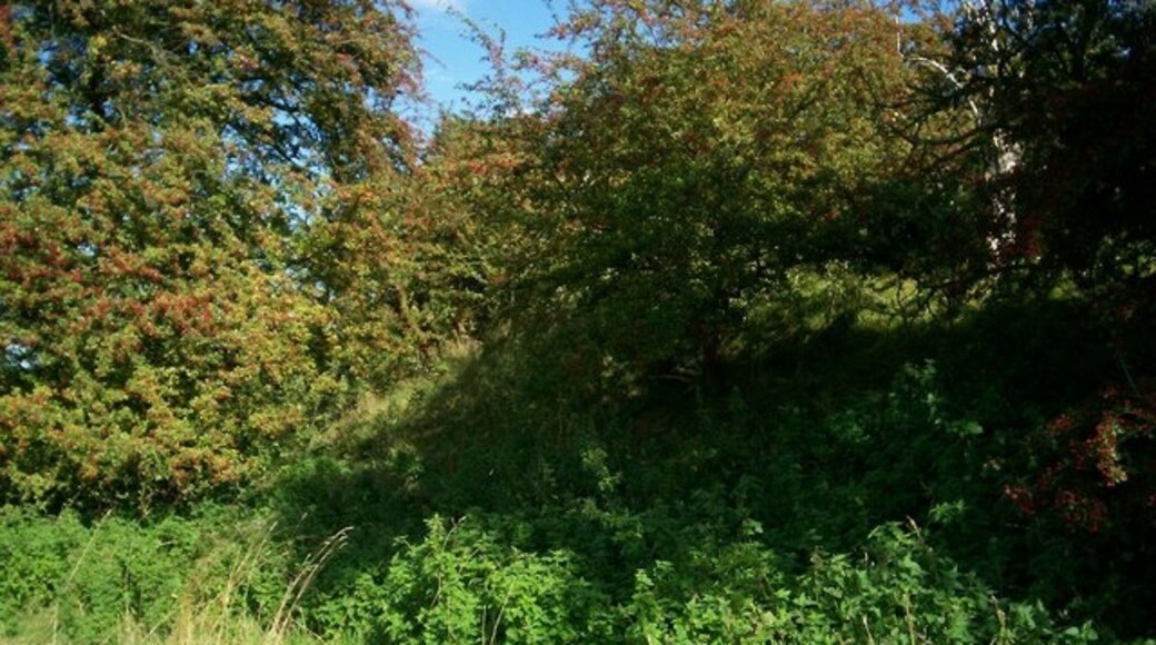 Billede "Saintbury" af David Luther Thomas (CC BY-SA) / beskåret fra det originale billede