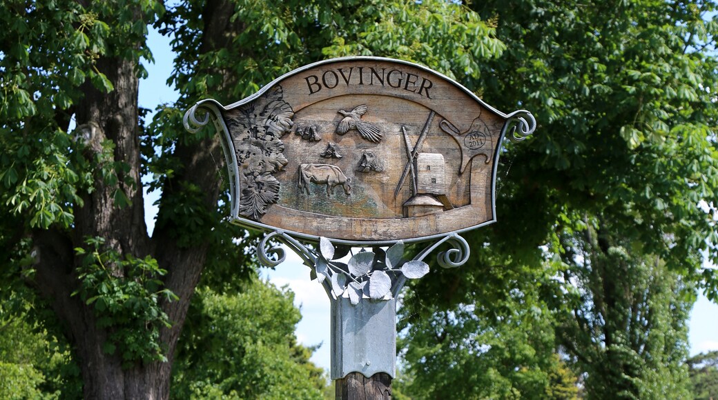 "Bobbingworth"-foto av Acabashi (CC BY-SA) / Urklipp från original