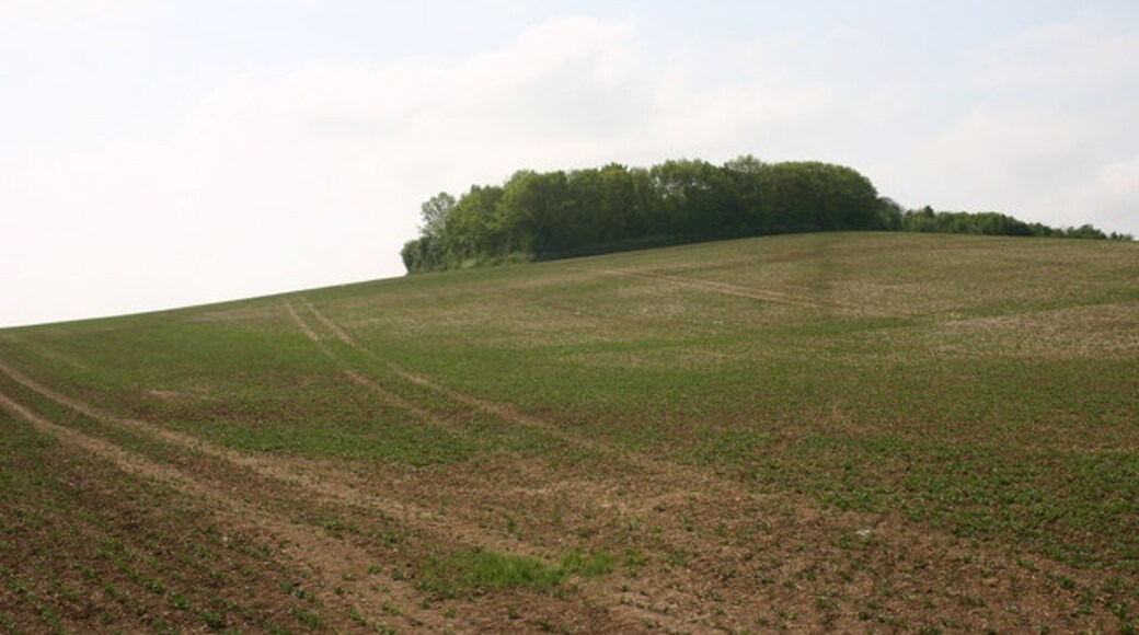 "Ashingdon"-foto av David Kemp (CC BY-SA) / Urklipp från original
