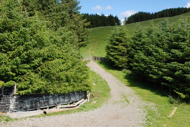 Field access track Between two forestry stands; there is rather more forestry around here than the map shows.